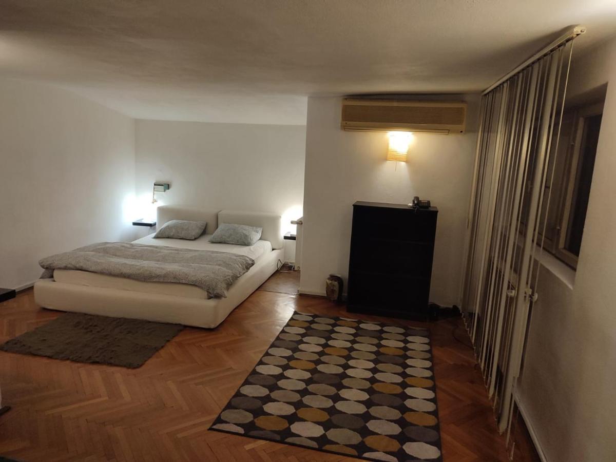 Апартаменти Dorobanti Loft Бухарест Екстер'єр фото